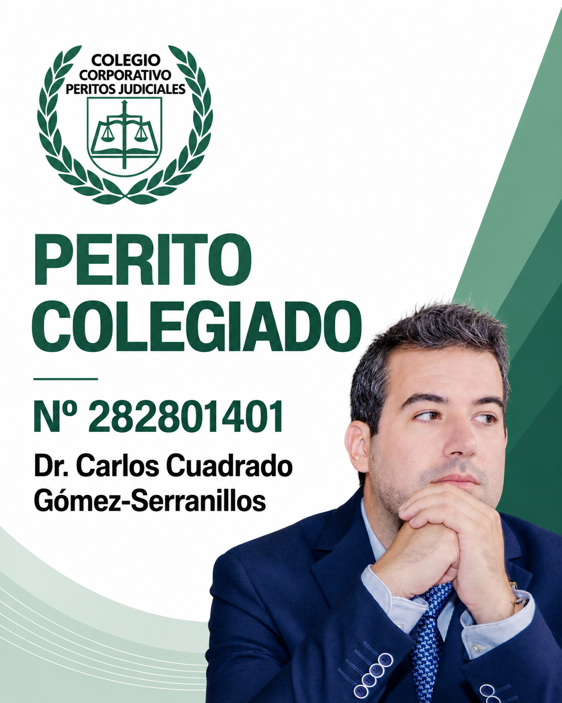 Dr. Carlos Cuadrado Gómez-Serranillos · Tarjeta profesional de perito · Nº 282801401